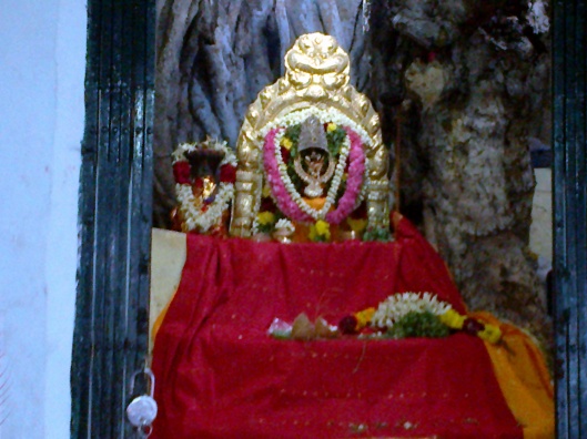 Sri Mahalakshmi Thaayar!